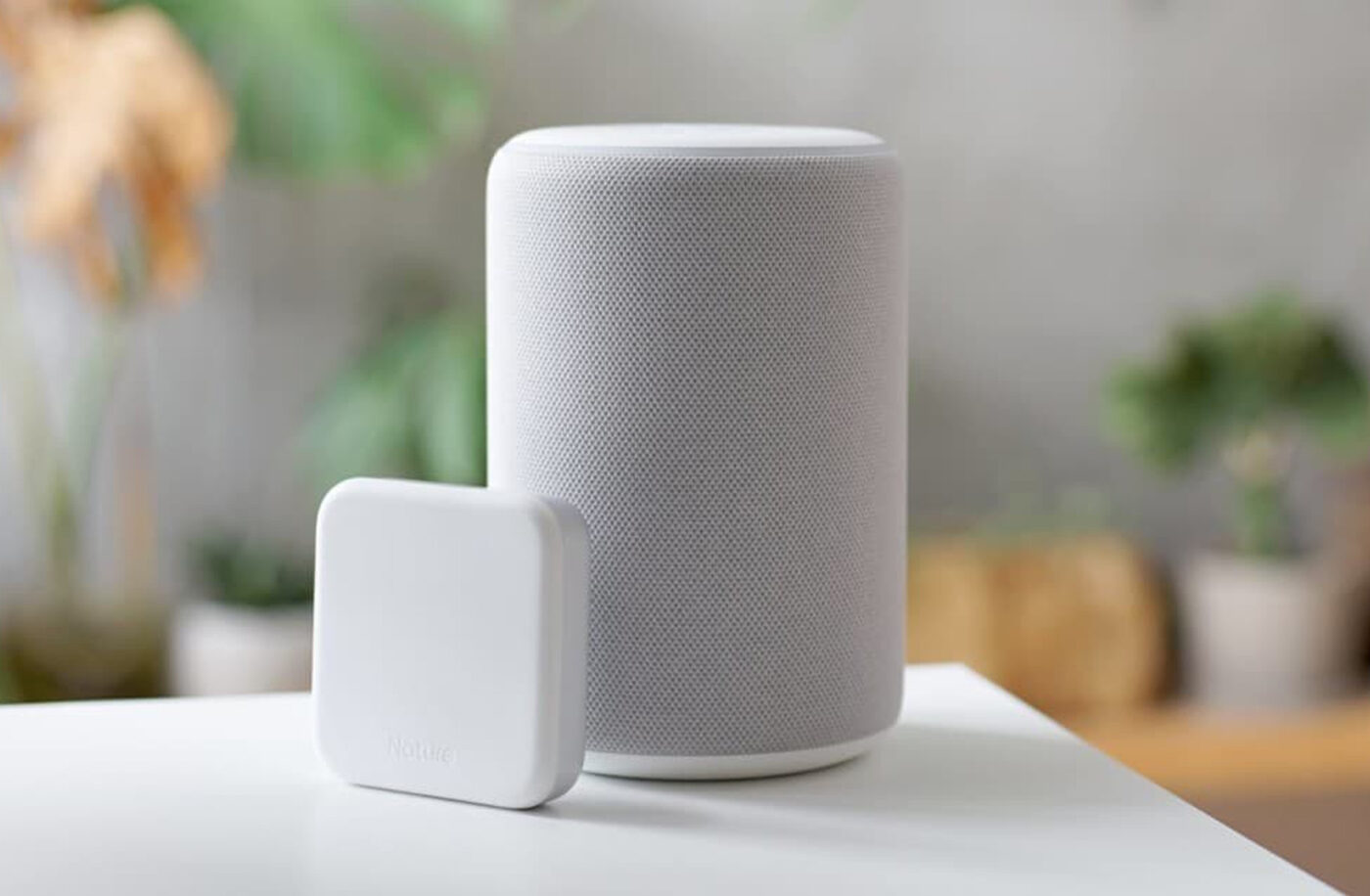 Vitae Magnis Fusce Laor