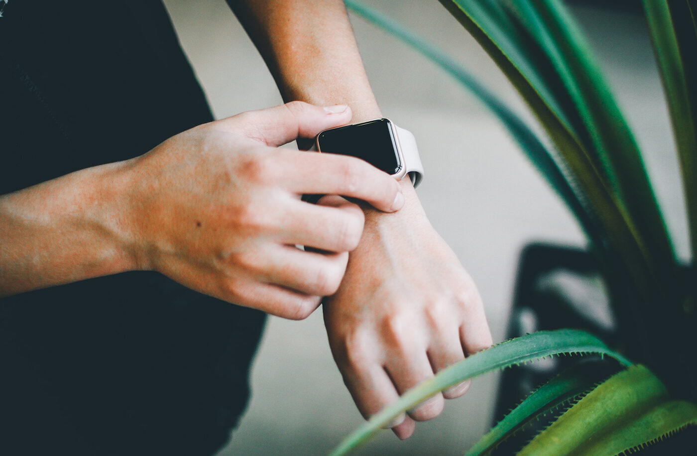 Urna Pretium Elit Maur